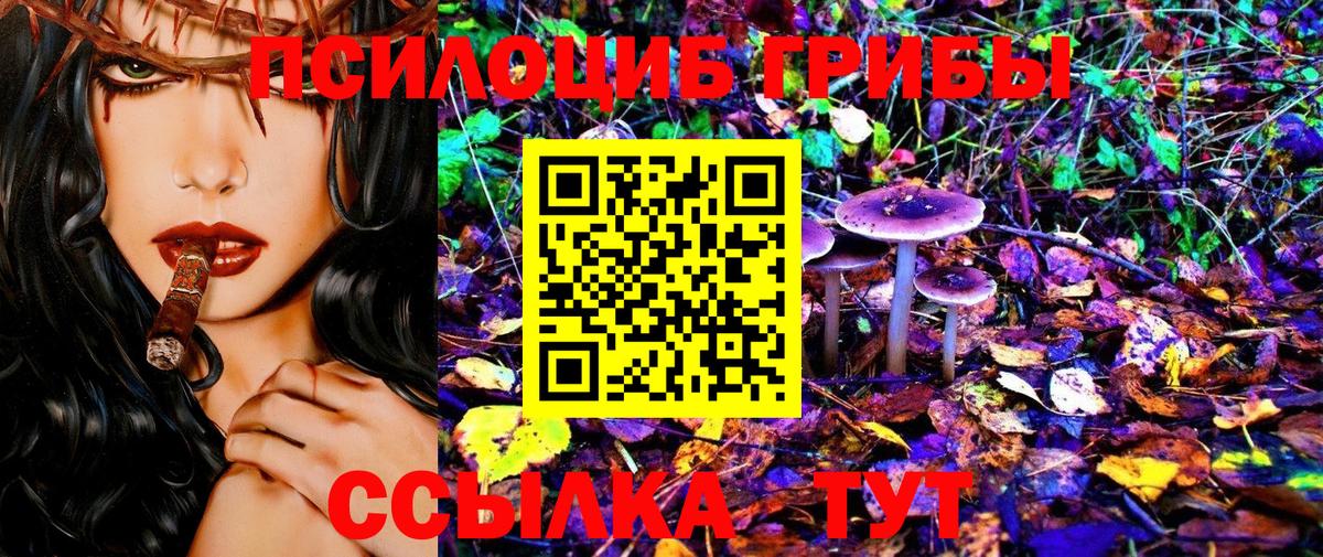 Галлюциногенные грибы Psilocybe  Вход с VPN  Людиново  купить   Псилоцибиновые грибы Psilocybine cubensis 