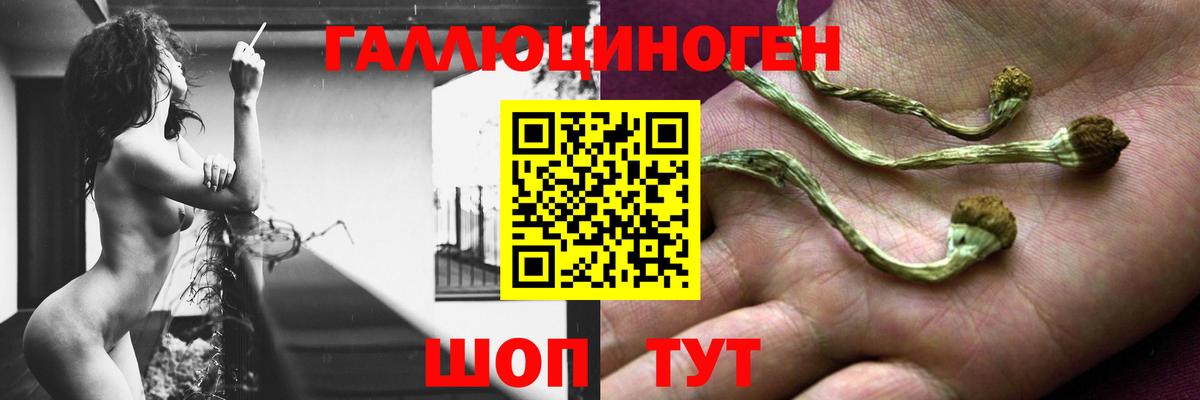 Псилоцибиновые грибы GOLDEN TEACHER Людиново